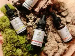 Les différents dosages de CBD chez VDLV : quelle concentration choisir