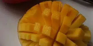 Les secrets insoupçonnés du noyau de mangue usages et bienfaits