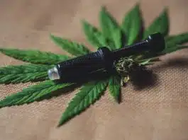 Comment consommer du CBD ? Comment consommer du CBD ?