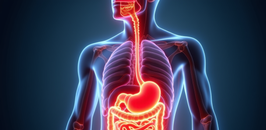 Inflammation des intestins : maladie auto-immune et symptômes à connaître